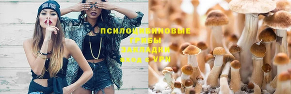твердый Переславль-Залесский
