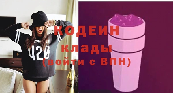 СК Пересвет