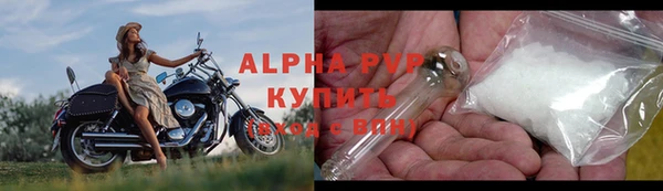 СК Пересвет