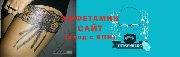 СК Пересвет