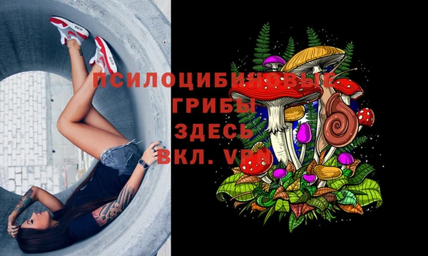 эйфоретик Пестово