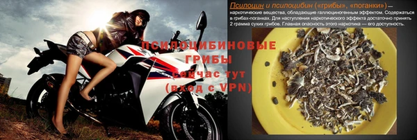 СК Пересвет