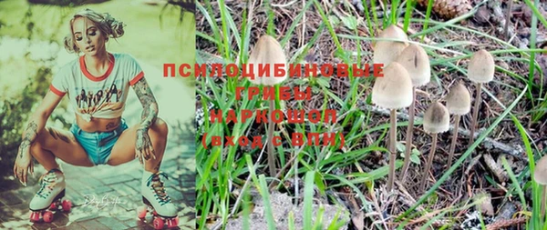 эйфоретик Пестово
