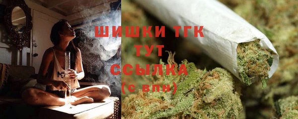 эйфоретик Пестово