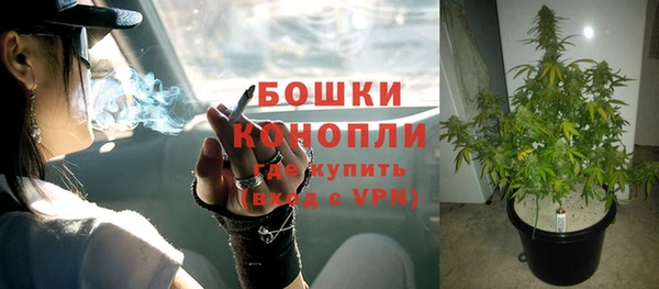 СК Пересвет