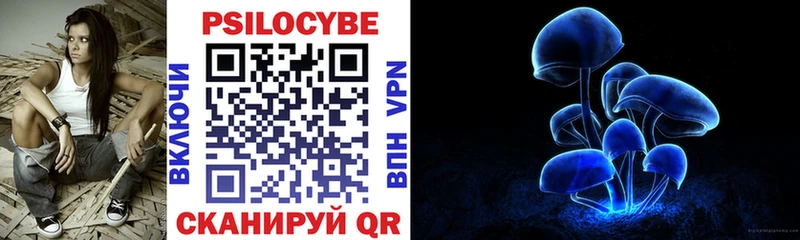 блэк спрут рабочий сайт  Алейск  Псилоцибиновые грибы прущие грибы  наркотики 