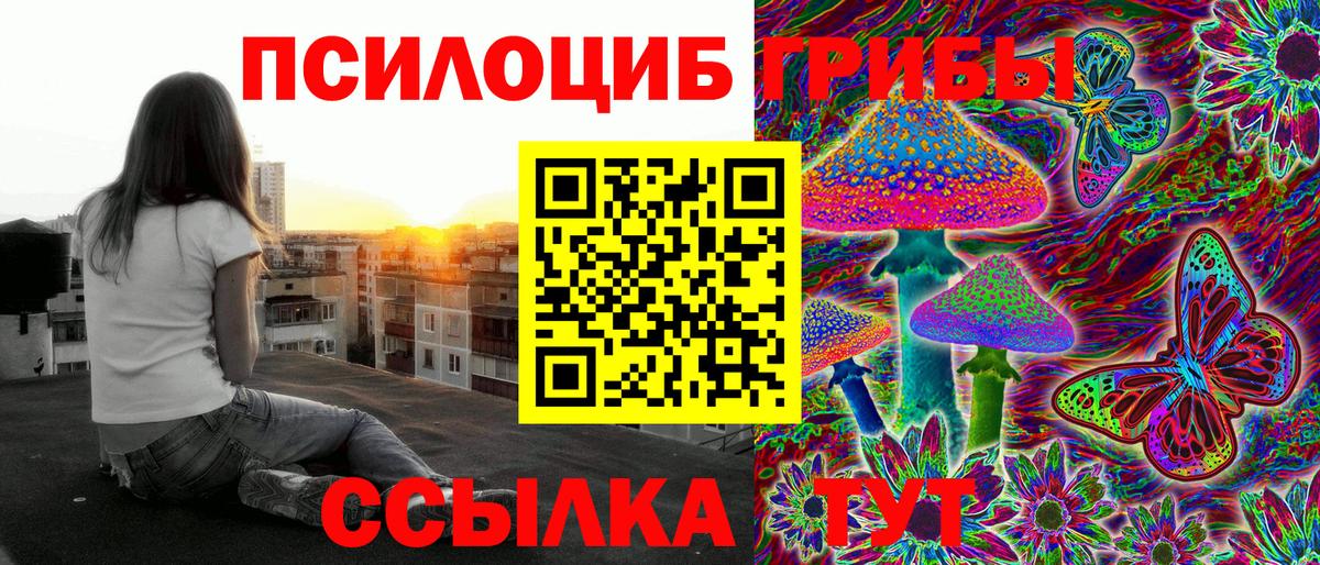 Галлюциногенные грибы Cubensis  Вход с VPN  Алейск 