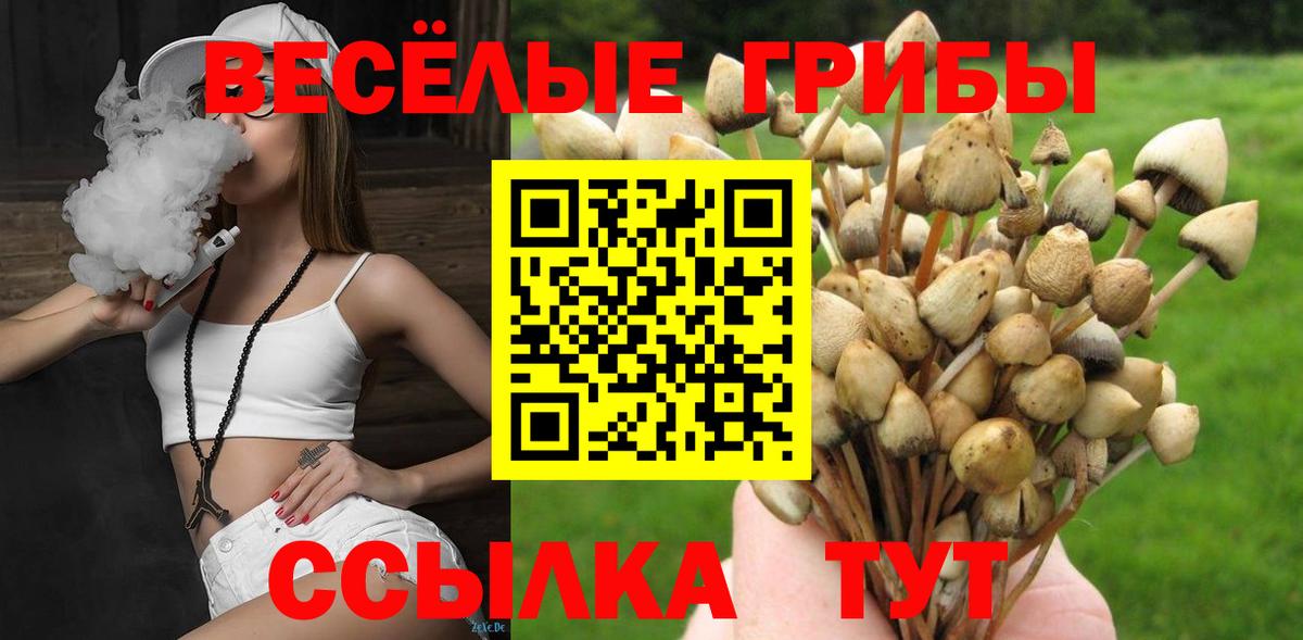 Псилоцибиновые грибы Psilocybe Алейск