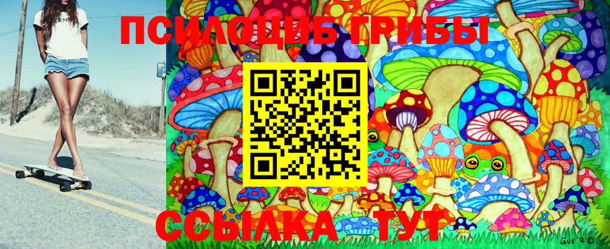 Псилоцибиновые грибы GOLDEN TEACHER Алейск